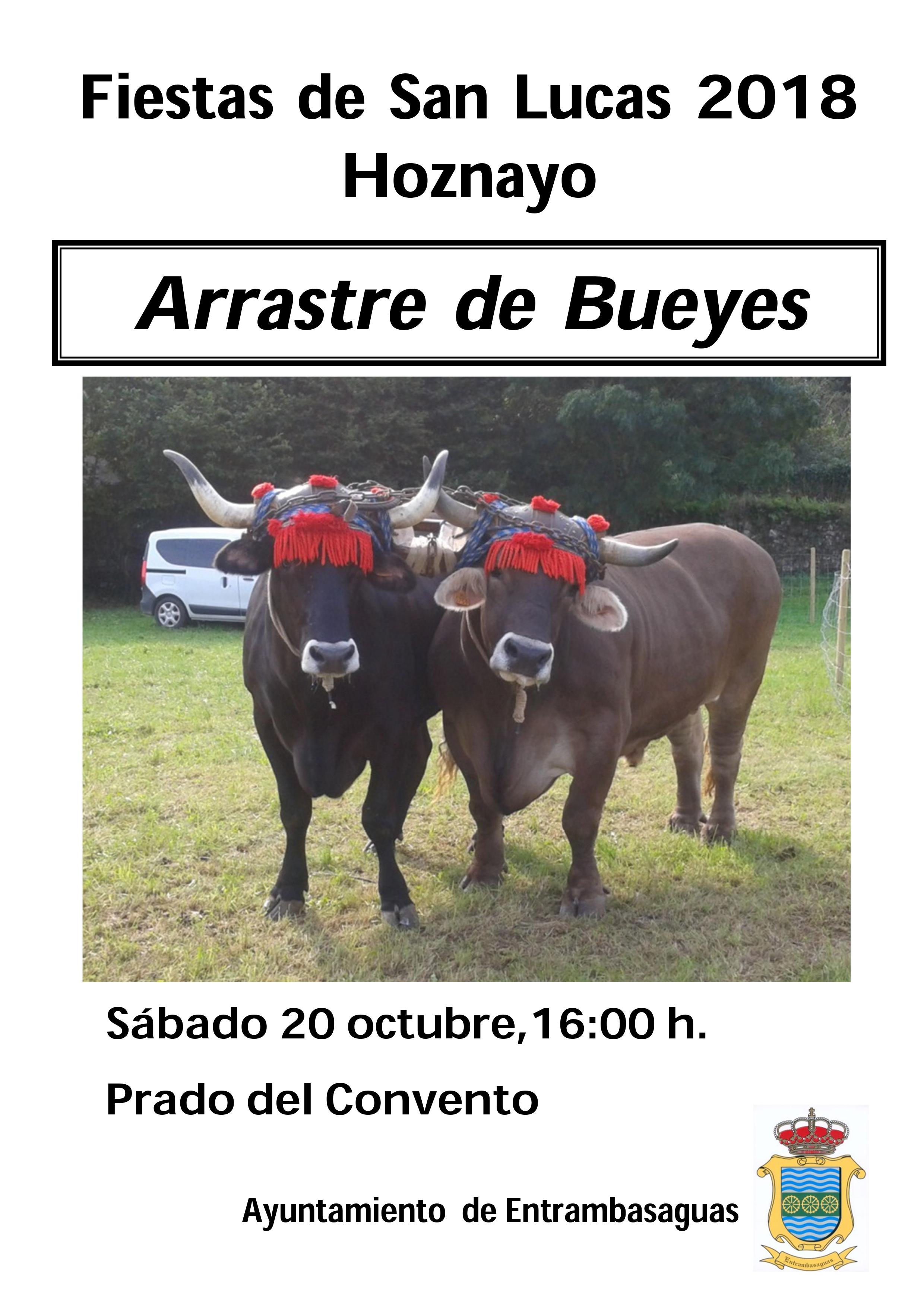 Arrastre de bueyes