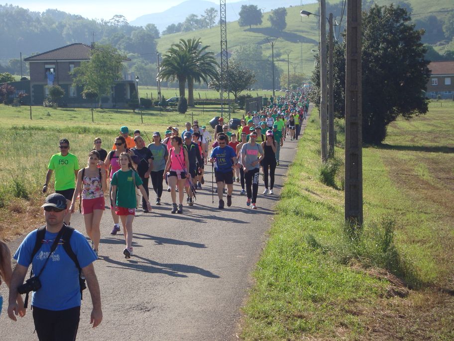 VIII Ruta