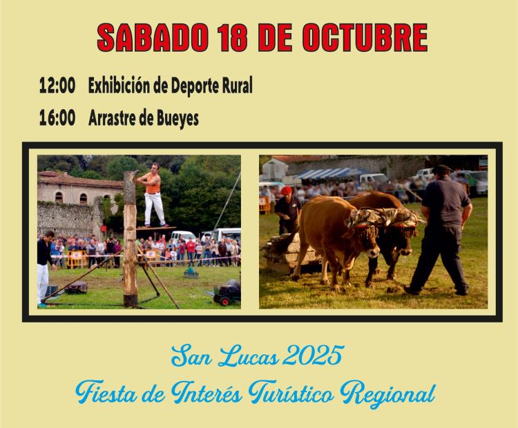 Exhibición de deporte rural y arrastre de bueyes.