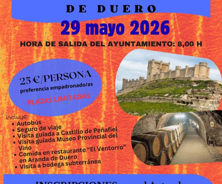Salida sociocultural a Peñafiel y Aranda de Duero